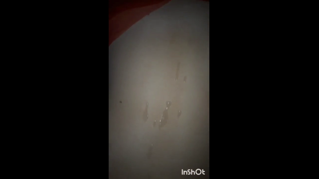 Рачком имеет жену узбечку 13 часть