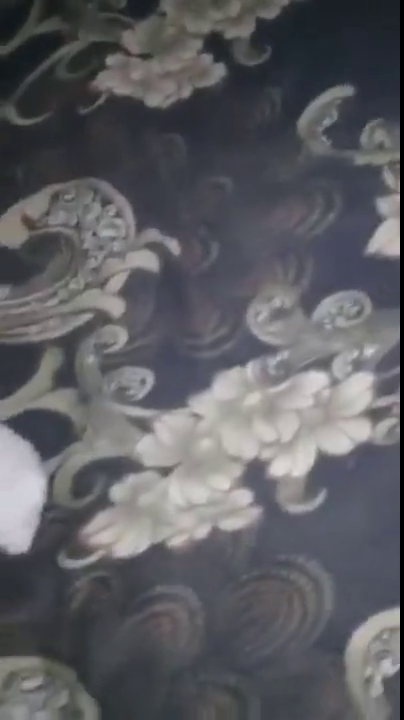 Сосед ебет жену с согласия мужа